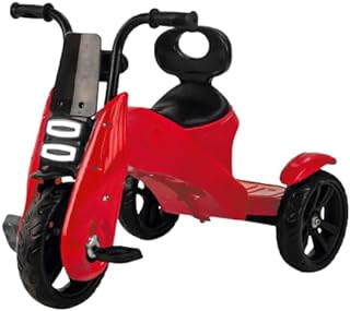 PANDA N TORQUE TRICYCLE