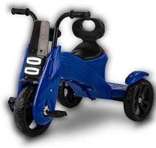 PANDA N TORQUE TRICYCLE