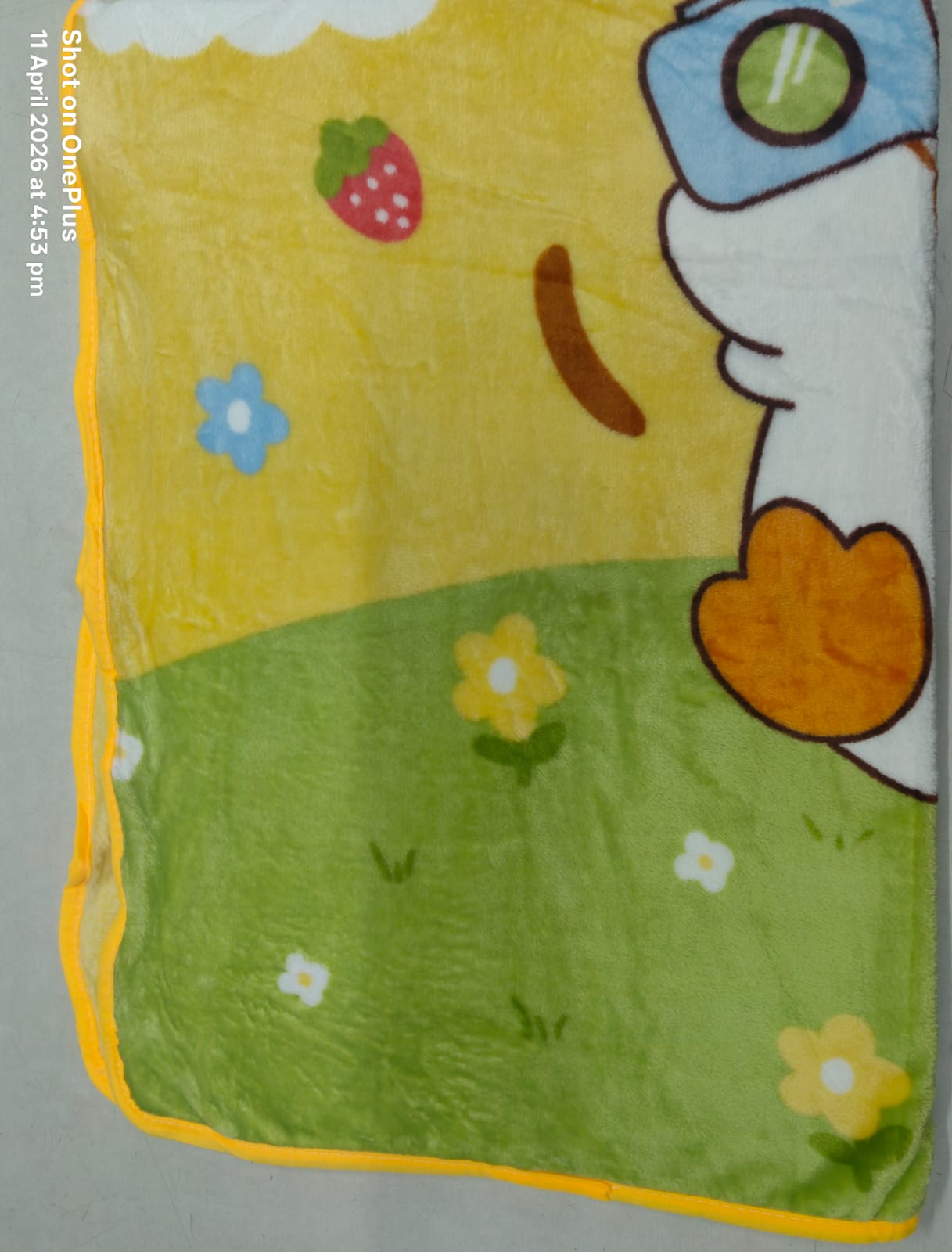 Single Layer Baby Blanket