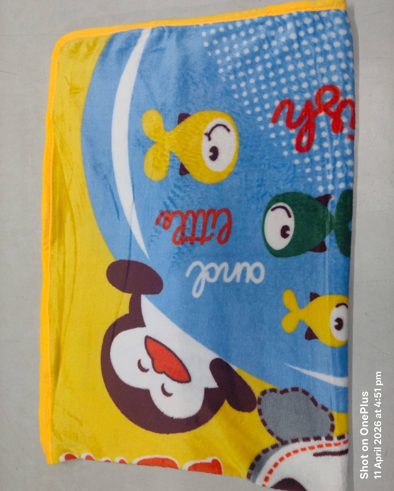 Single Layer Baby Blanket